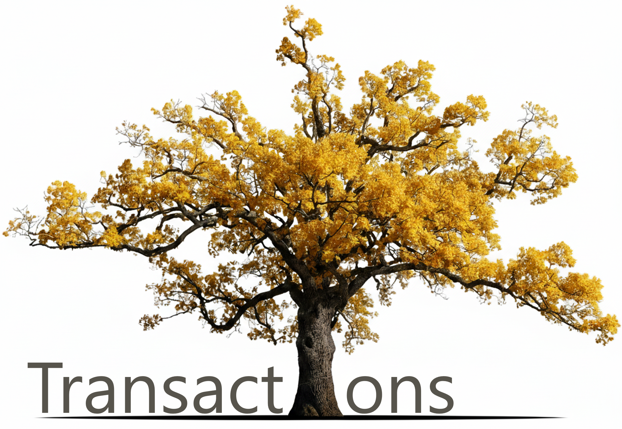 Transactions Tree Logo